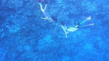 垫底三队同积11分，德甲降级区形势稳定